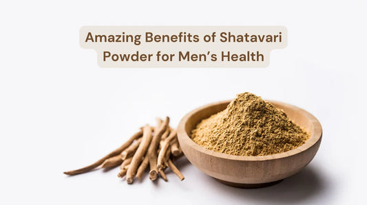 shatavari benefits for men