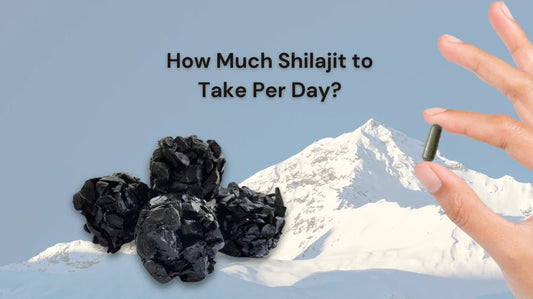 How Much Shilajit to Take Per Day
