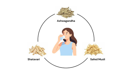 ashwagandha shatavari safed musli benefits