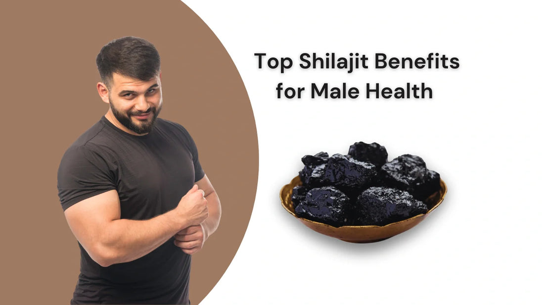 Top Shilajit Benefits for Male Health